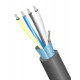 Cable Blindado Multiconductor ARSA 24 AWG (Foil + Malla) venta x m